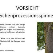 Juckende Erinnerung an Tag am See