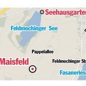 Frau im Maisfeld missbraucht