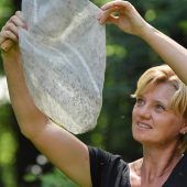 Mittendrin im Mücken-Sommer