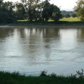 Beim Spielen am Wasser: Vierjähriger ertrinkt in der Donau