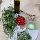 Ein Kraut für alle Fälle