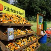 Geht schon Kürbis?