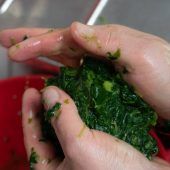 Vom Küchentisch in ferne Länder