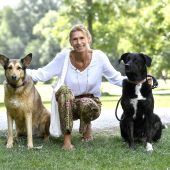 Neue Regeln für Hund und Herrchen