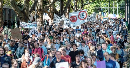 Bei Fridays For Future-Kundgebungen demonstrieren immer viele junge Menschen. Für junge Rosenheimer ein Indiz dafür, dass die Jugend von heute auf keinen Fall politikverdrossen ist. Fotos dpa, privat (4)