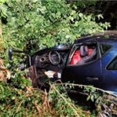 Autofahrer (49) tödlich verunglückt
