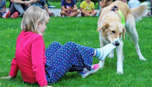 Hund Emma kann ganz vorsichtig die Socke von Viktoria ausziehen. Das hat sie in ihrer Ausbildung schon gelernt. Foto re