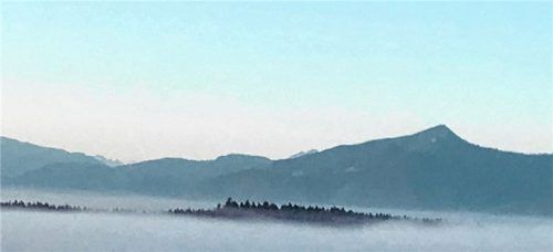 pitt herbstnebel re