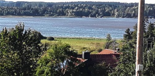 Rotalgen überziehen das Wasser in der Mitte des Simssees. Die Aktionsgruppe „Sauberer Simssee“ sieht den landwirtschaftlichen Eintrag, also zum Beispiel Gülle, als Grund für das Algenwachstum. Foto Privat