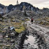Waldfrevlern drohen hohe Kosten