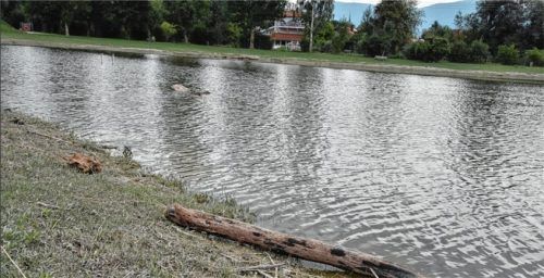 Treibholz und Öl vom Hochwassertag führten dazu, dass der Thansauer See jetzt gesperrt werden musste.Foto Schlecker