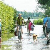 Chiemsee flutet Ufer