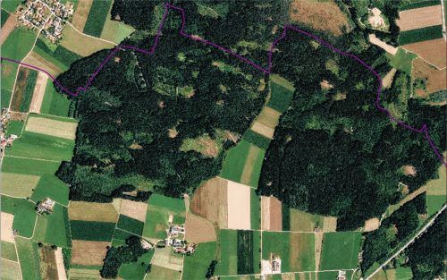 Viel Wald rund um den Brunnen Ödenwald: Das Trinkwasser ist 20 Meter tief unter dem südwestlichen Teil des Waldes (im Bild links unten), die Schutzzonen I und II sind es auch, nur die Schutzzone III wird größer. Je nach Festlegung von Landrats- und Wasserwirtschaftsamt rückt die vom Brunnen nach Norden und Osten gehende Zone mal weiter mal weniger weit in den Wald hinein. Die violette Linie im Bild ist die Gemeindegrenze Stephanskirchen/Prutting.Foto  Gemeinde