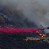 Feuerwerk bei „Baby-Party“ löst Brand aus