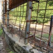 Braunbär in Rohrfalle