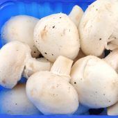 Pilze müssen frisch sein