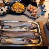Traditionell bayerische Küche: Schwammerl mit Semmelknödel und Steckerlfisch mit Kartoffelsalat