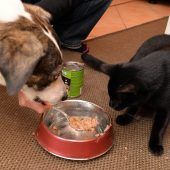 Mit viel Geduld und guten Nerven