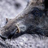 „Wir lassen die Landwirte nicht allein“