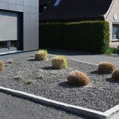 Aufstand gegen Steingärten