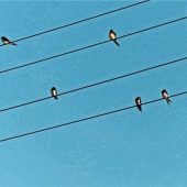 Immer schön auf Abstand achten