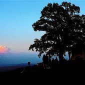 Das letzte Abendlicht