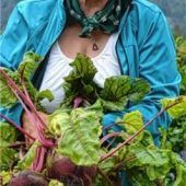 Eine grüne Lunge ohne Chemie