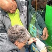 Jetzt sind drei grüne Flitzer im Einsatz