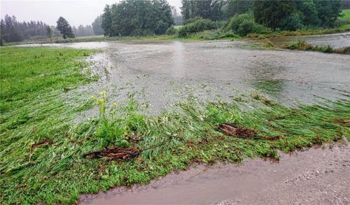 Das August-Hochwasser sorgte auch auf dem Samerberg für viele Schäden (hier ein Blick auf die überflutete Filze). Sie werden nun nach und nach behoben.Foto re