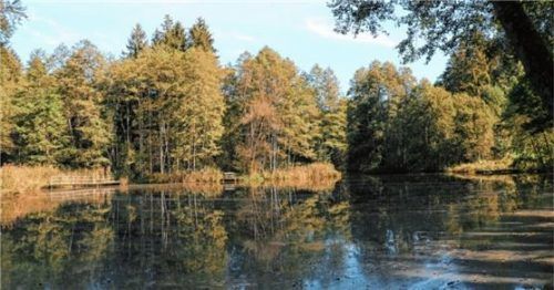 Der Bachhamer Weiher in Eggstätt ist Bestandteil des Hochwasserschutzkonzepts und wird jetzt vom Schlamm gereinigt. Foto re