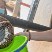 Python von Balkon geworfen