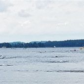 Auch am Chiemsee gibt es einen Klassiker