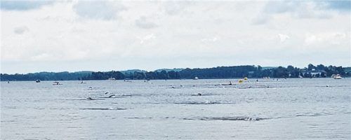 Die Freiwasserschwimmer lieferten im Chiemsee hervorragende Leistungen ab.
