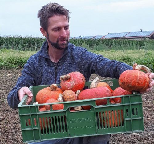 Erntezeit: Christian Niederthanner liebt die farbenfrohen Kürbisse. Foto RE
