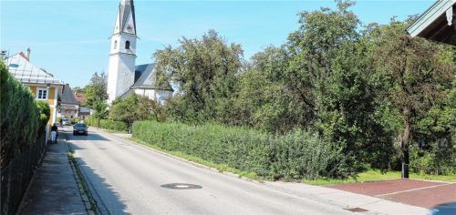 Forderungen nach dem Bau eines Gehwegs vom Salon Haarlekin/Sparkasse bis zur Kirchenmauer gibt es schon lange. Der Verlauf des möglichen Weges auf der Nordseite der Hauptstraße ist an der bestehenden Ligusterhecke erkennbar. Grundstücksverhandlungen mit dem Eigentümer zur Abtretung sind mehrfach gescheitert. Foto rehberg