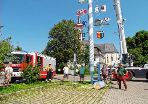 Herausforderung angenommen und gemeistert: die Vereinsvertreter mit ihrem wieder standsicheren Maibaum. Das nach der Aktion eigentlich fällige Dorffest fiel dem Coronavirus zum Opfer. Die Pfaffenhofener freuen sich trotzdem. Fotos  re