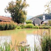 Tote Person aus Dorfweiher geborgen