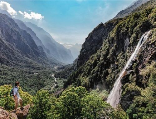 Kaum eine europäische Region vereint so viele exotische Elemente wie das Tessin.Foto Ticino Turismo/Alessio Pizzicannella