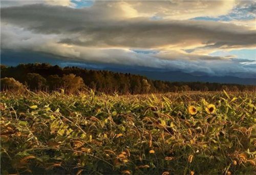 rohr herbstbeginn re