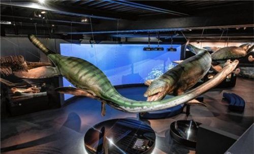 Tipp zu Frage 1: Die Antwort findet sich in der Ausstellung im Lockschuppen, wo eine Zeitreise in die Welt vergangener Ozeane mit gigantischen Reptilien aufwartet. Foto  re