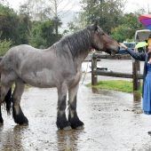 Entspannung statt Wiesnrummel