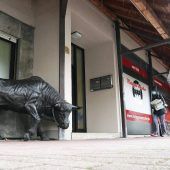 Ist dieser Stier verkehrssicher?