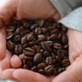 Wussten Sie eigentlich, dass Kaffee …