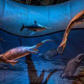 Die „Eiszeit“ kommt erst 2022