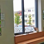 Zwei Insekten-Ausstellungen im Rathaus
