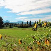 Spätsommerlicher Ausblick