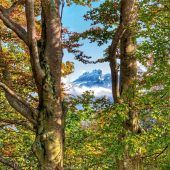 Goldene Herbsttage mit überraschenden Ausblicken