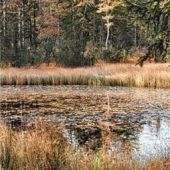 Ist das der Schwarzsee oder Nordamerika?