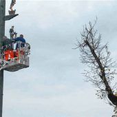Maibaum-Figuren werden eingewintert