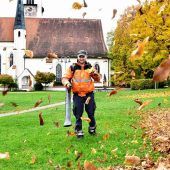 Herbstputz in der St. Wolfganger Hofmark